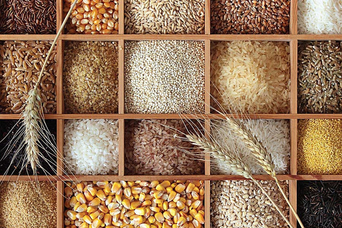 Bourbon Mash Bills Explained: Why Bourbon Can Taste So Different